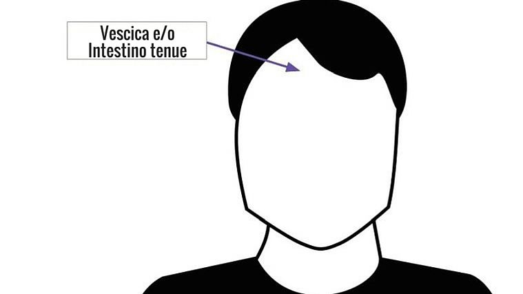 Mappatura Cinese Del Viso E Salute Degli Organi Cosa