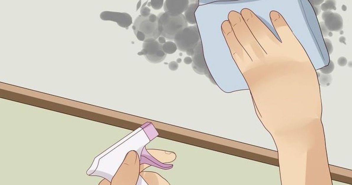 Come eliminare velocemente la Muffa dalle pareti di casa ...