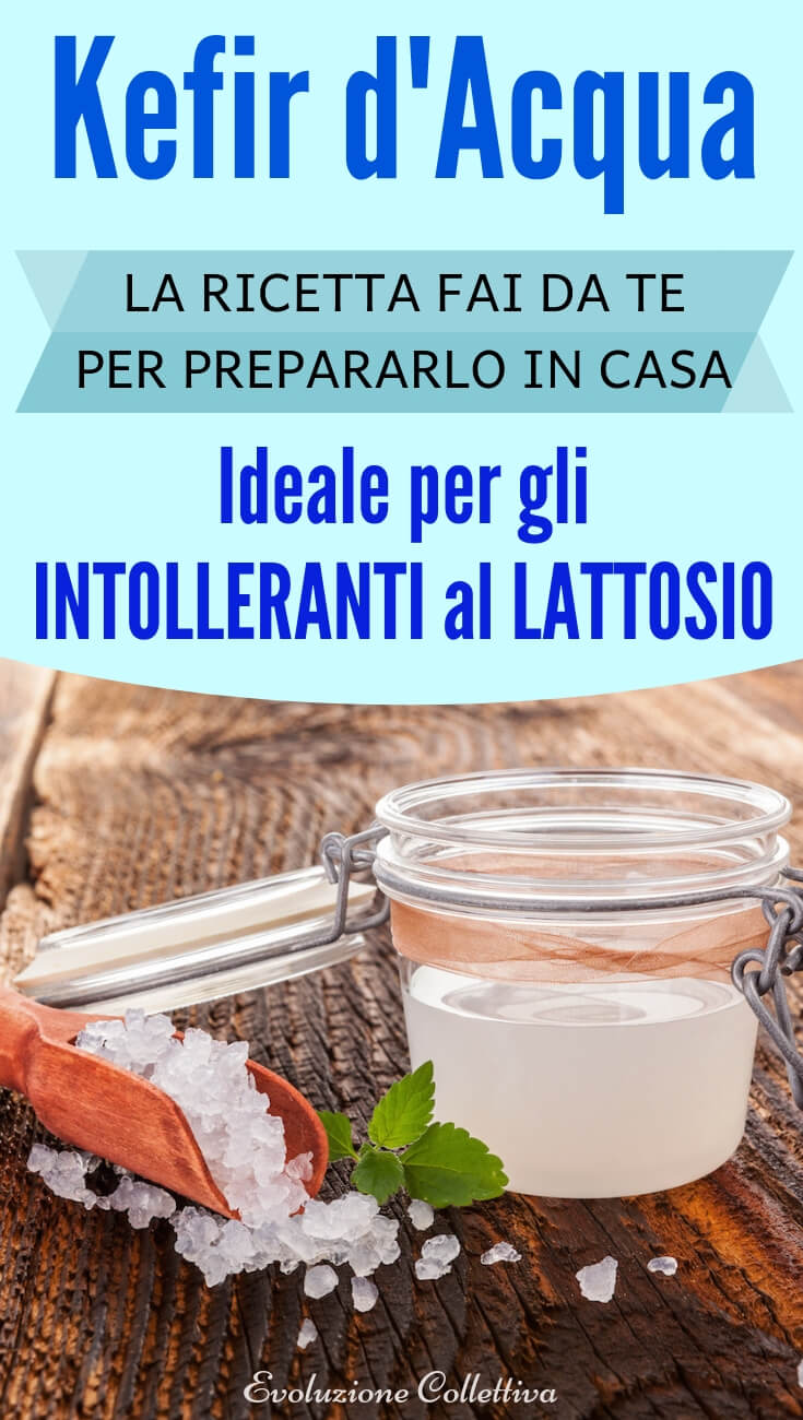 Come Fare Kefir Di Latte Vegetale