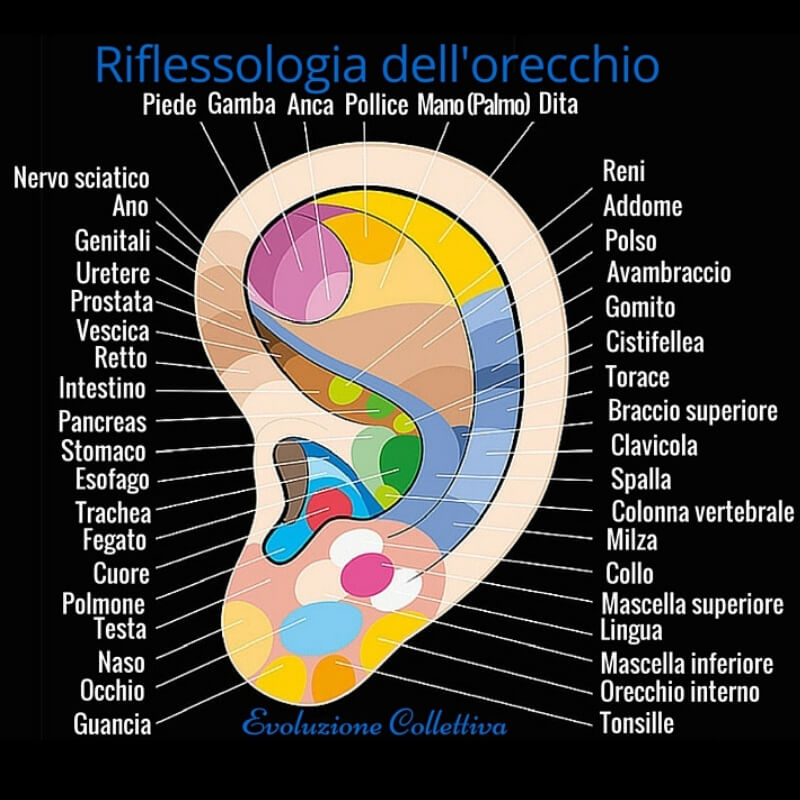 Riflessologia Dellorecchio Massaggia I Punti Giusti Per