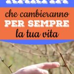 Le 8 Leggi Meno Conosciute Sul Karma Frasi Che Cambieranno La Tua Vita Evoluzione Collettiva